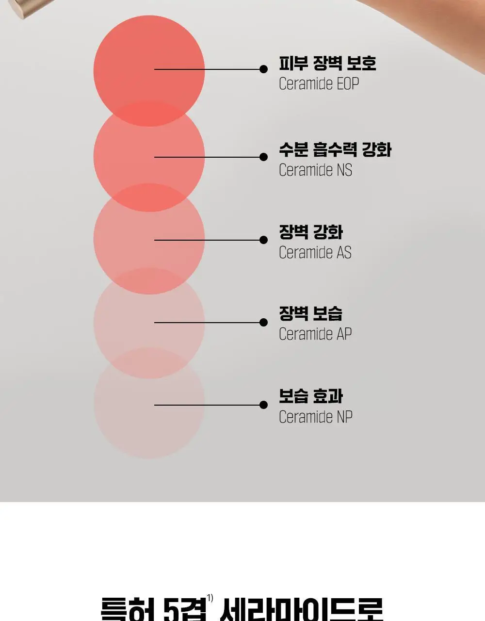 [단독기획/5겹장벽크림] 파티온 노스카나인 트러블 크림 45ml 기획(+5ml+세럼 5ml) 상세페이지 19